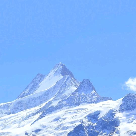 浙江华彤隽逸传媒