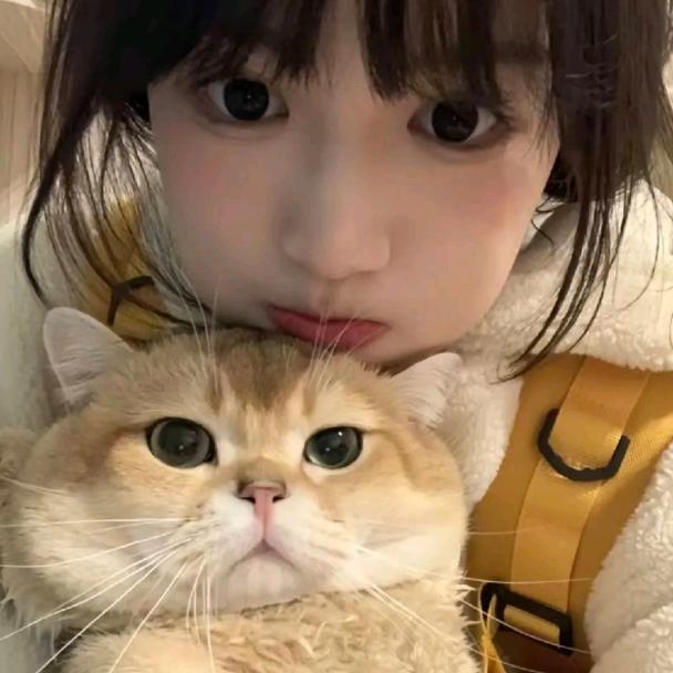 爱吃鱼干一只喵？