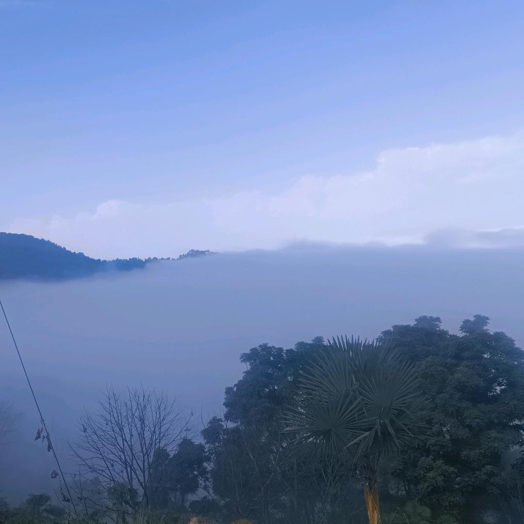 四季优选山货