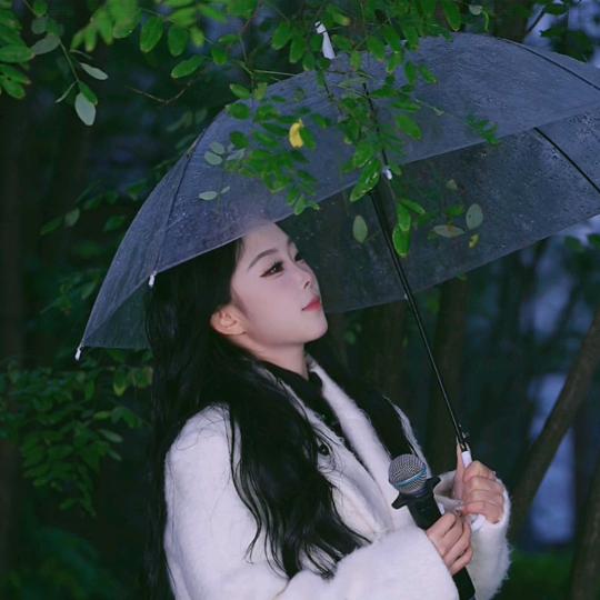 菠萝不长记性
