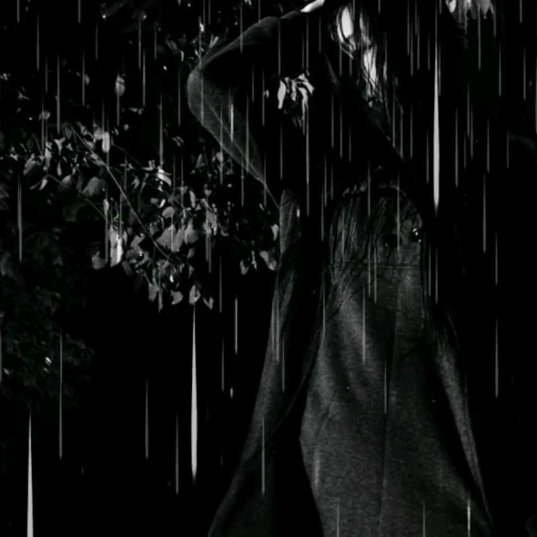 🥀淡淡人生⁵²º᭄এ