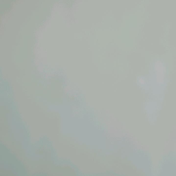 过好每一天