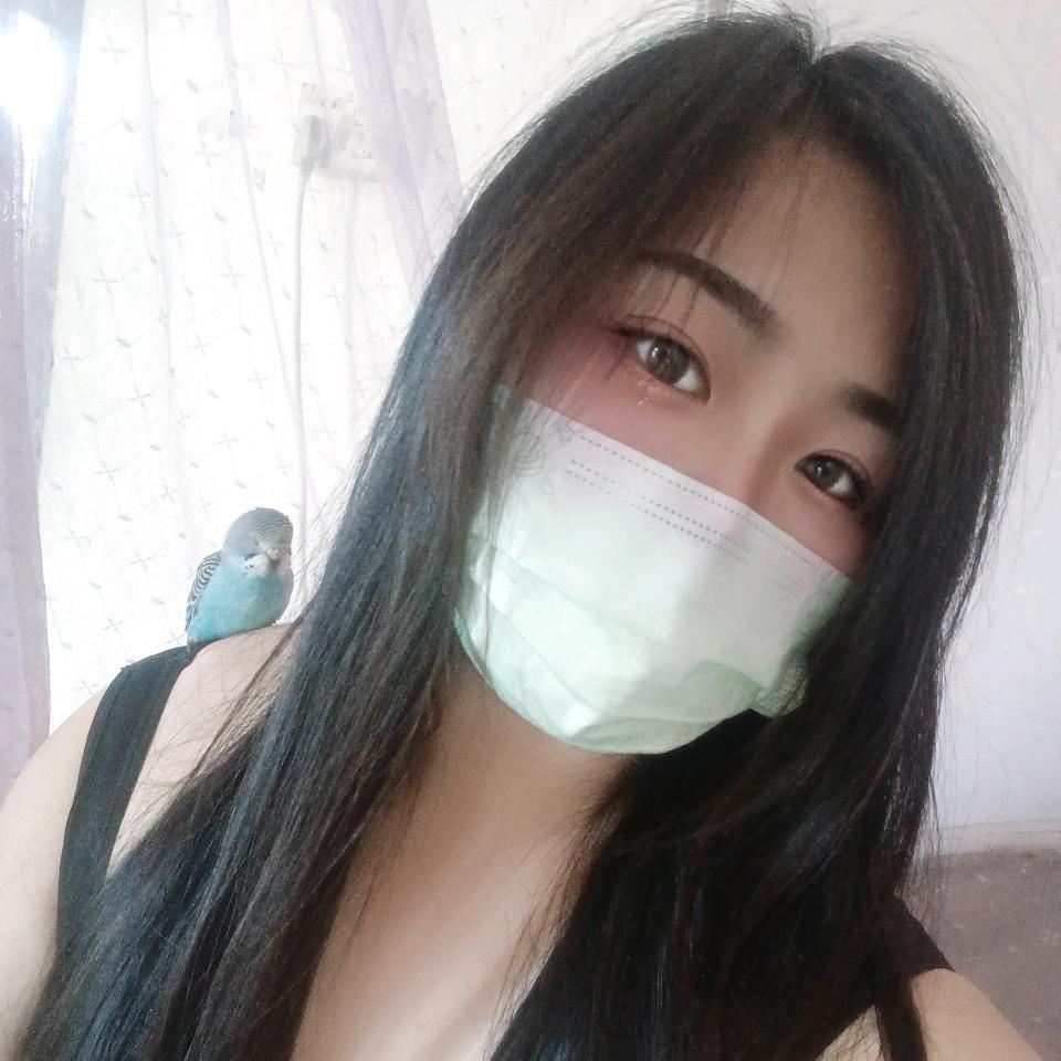 落叶