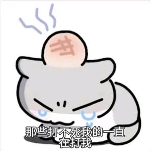 王者荣耀浅瞳(两万分露娜)