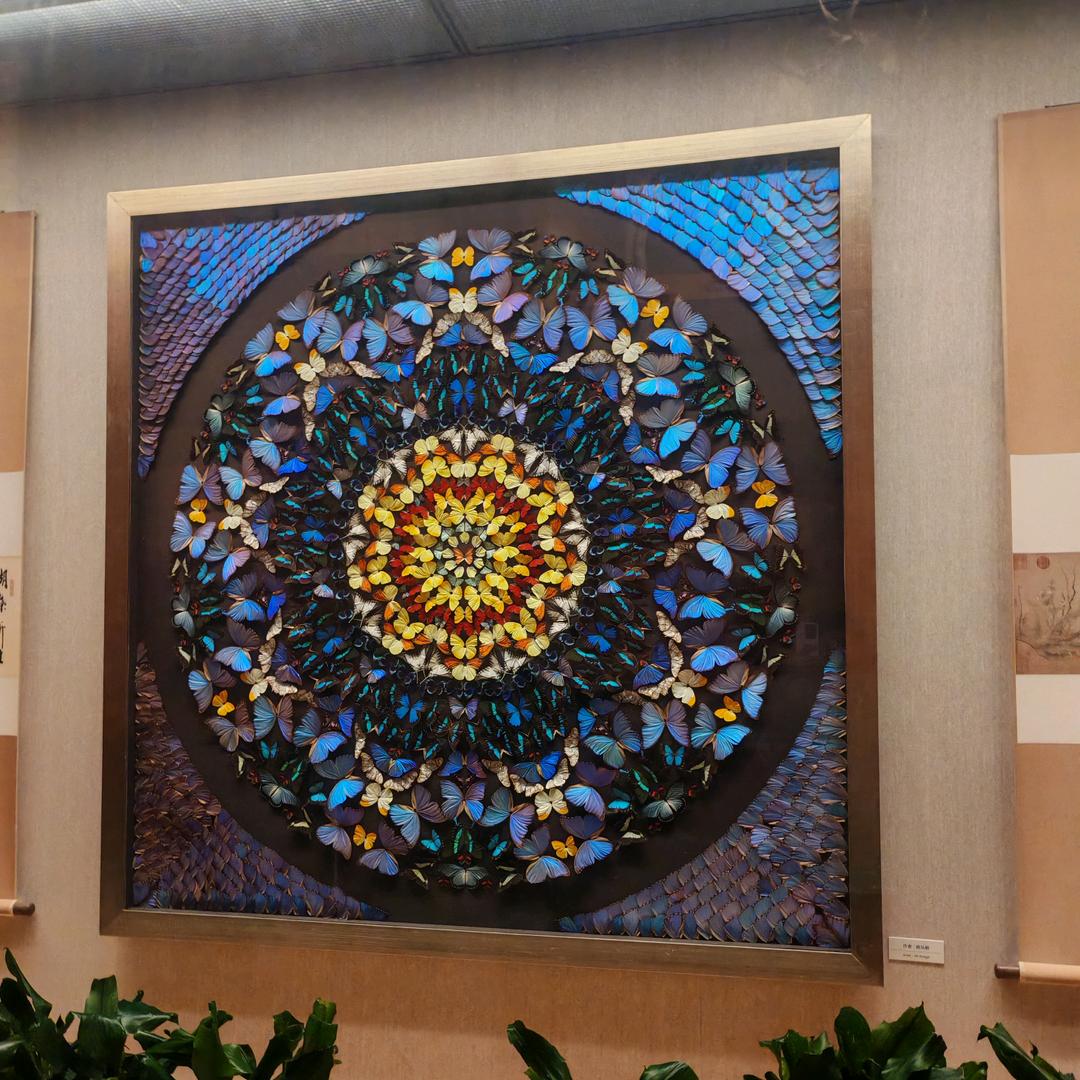 一片丹心🦋🦋🦋