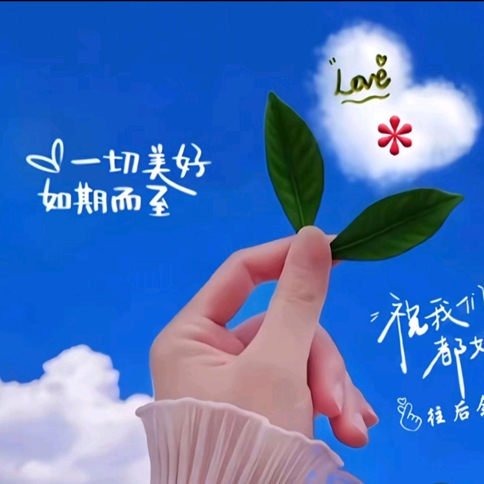 月色真美