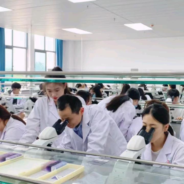 河南高考志愿指导吴老师