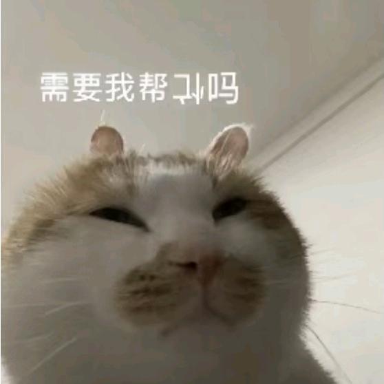小助理