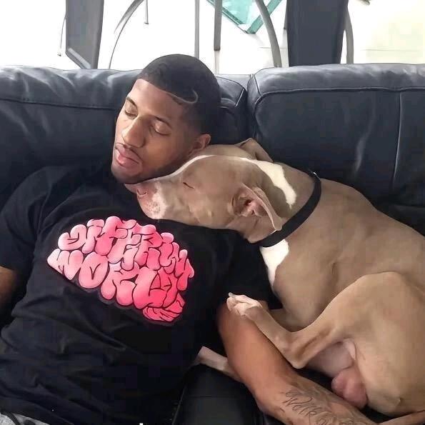 去码头整点薯条_