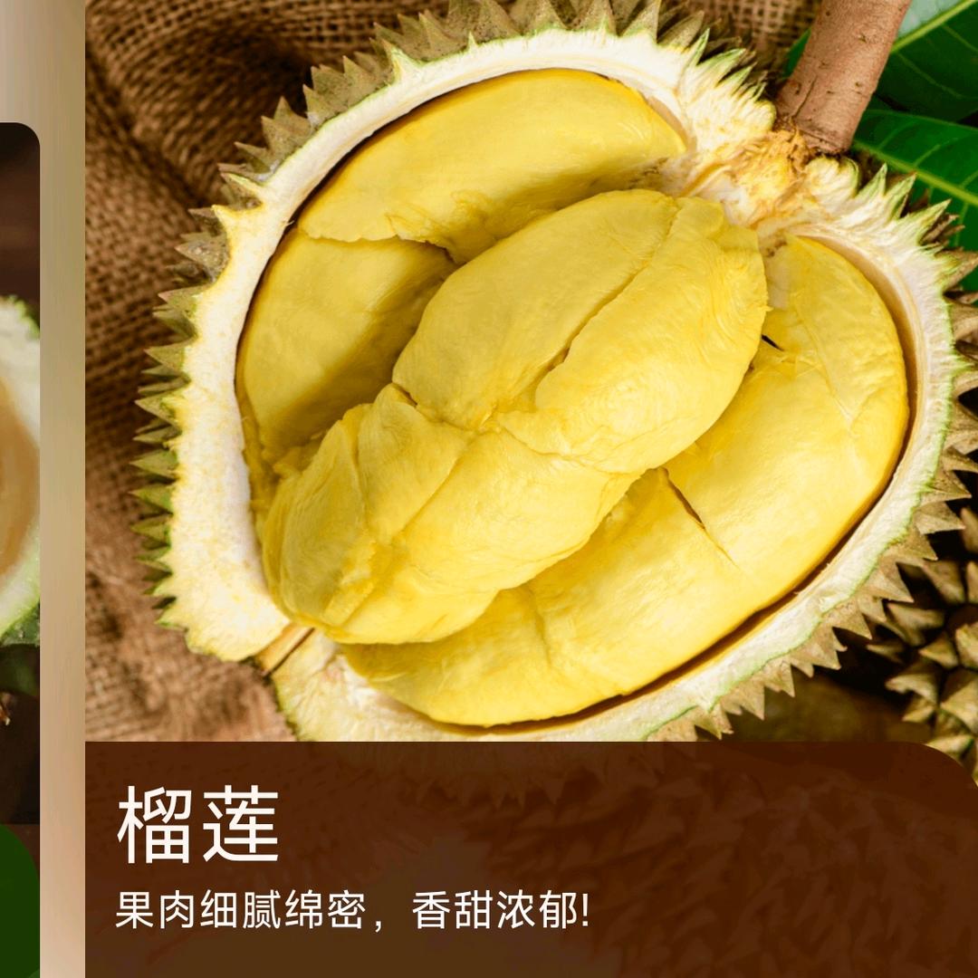 三匹马