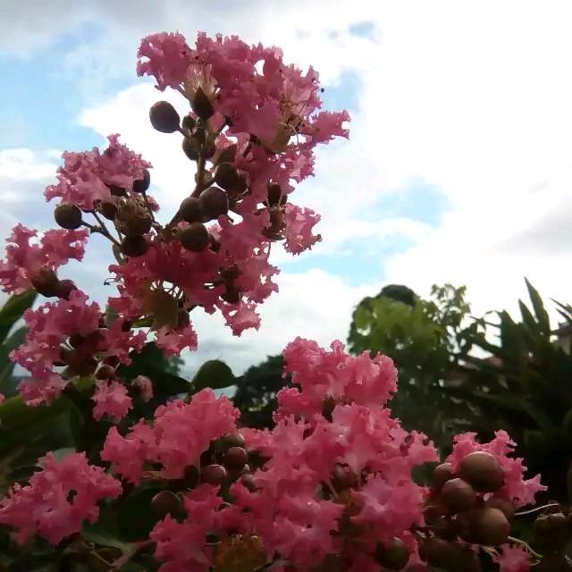 💞A知足💞（拒绝私聊）