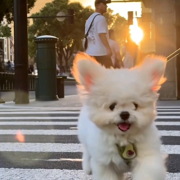 5公里不进20不改名