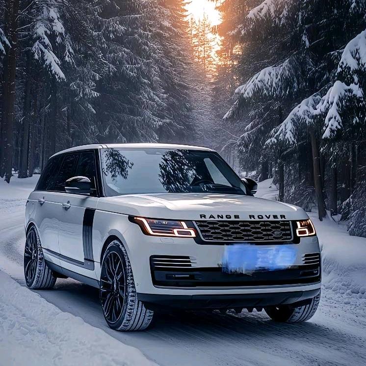 风雨同周🚬🇨🇳〈卷土重来〉