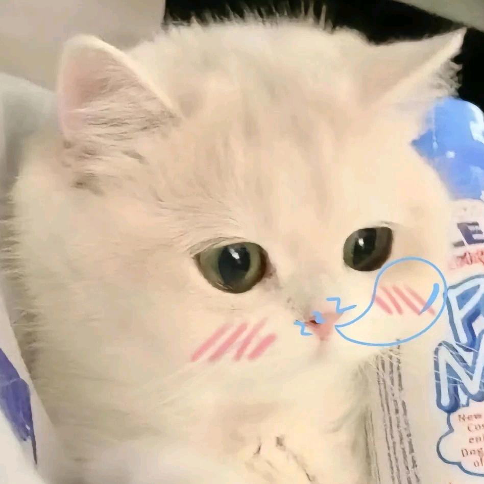吹晚风看晚霞