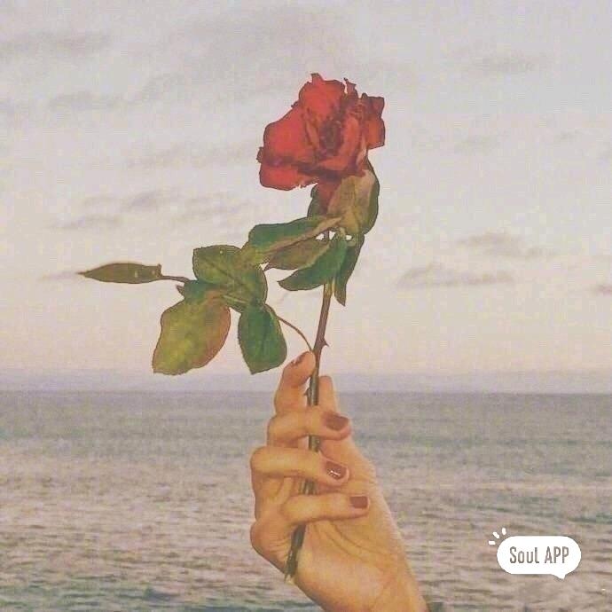 欭惗