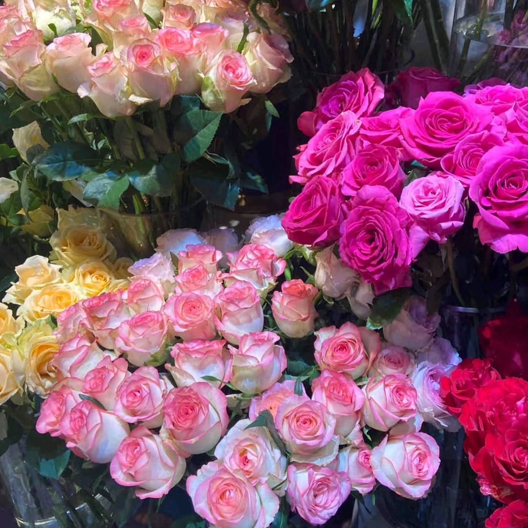 化工小林