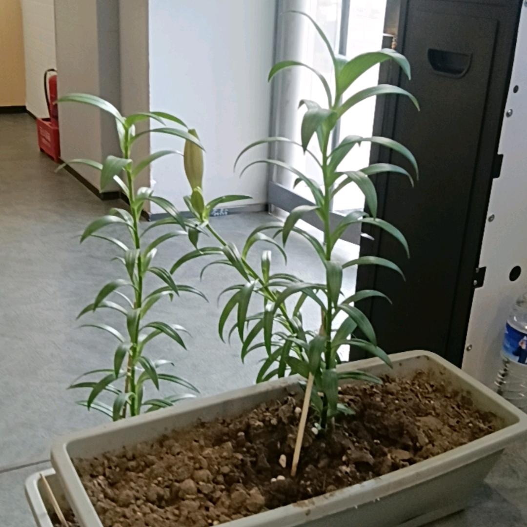 浔菡七直播号