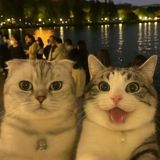 月明灯（永恒之塔2）