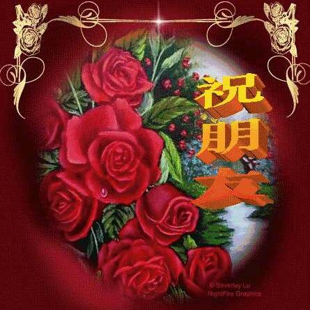 《错爱一生的女人》。