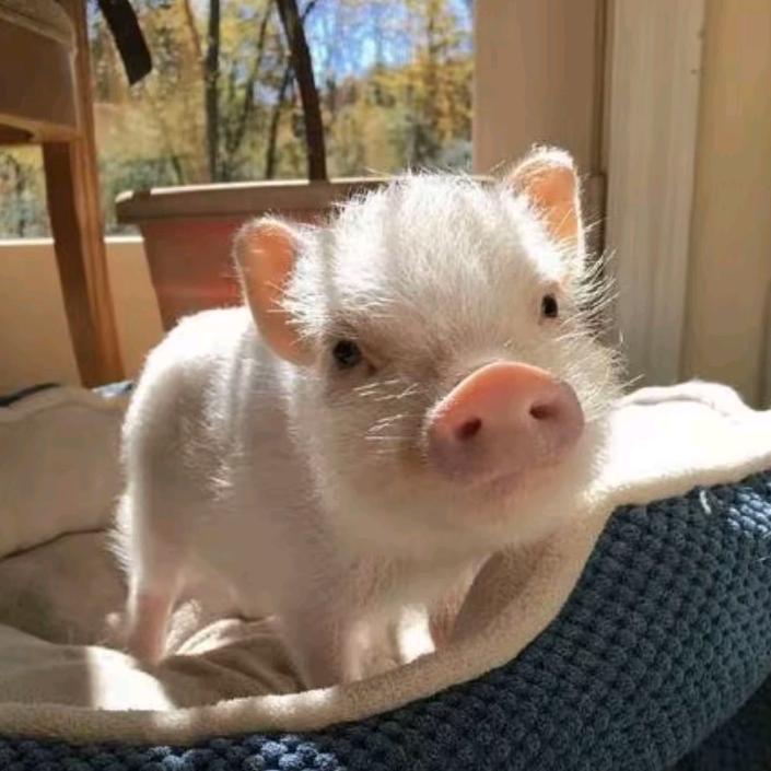 河南人在许昌/D✔⁰³⁷⁴