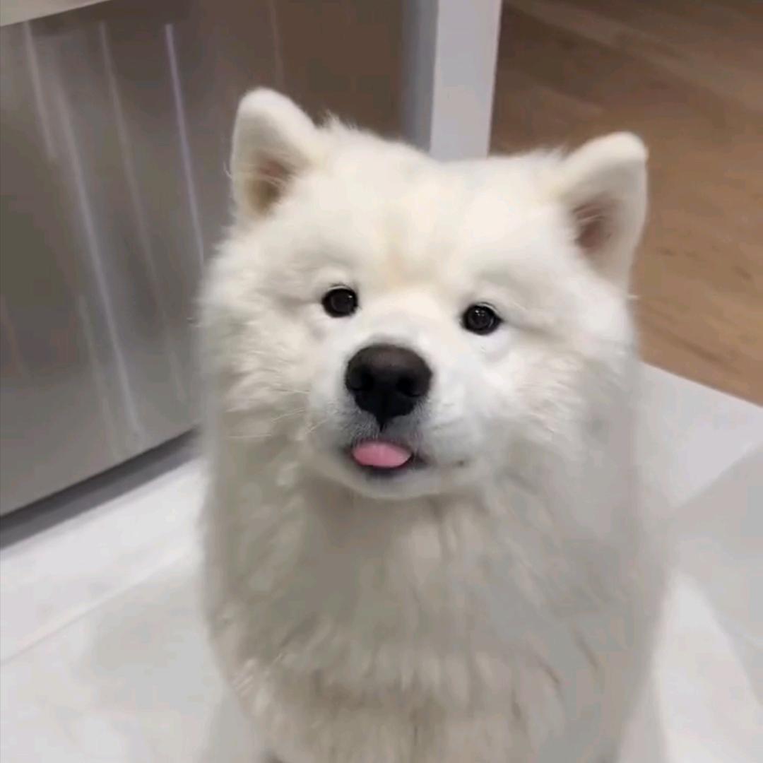 青城