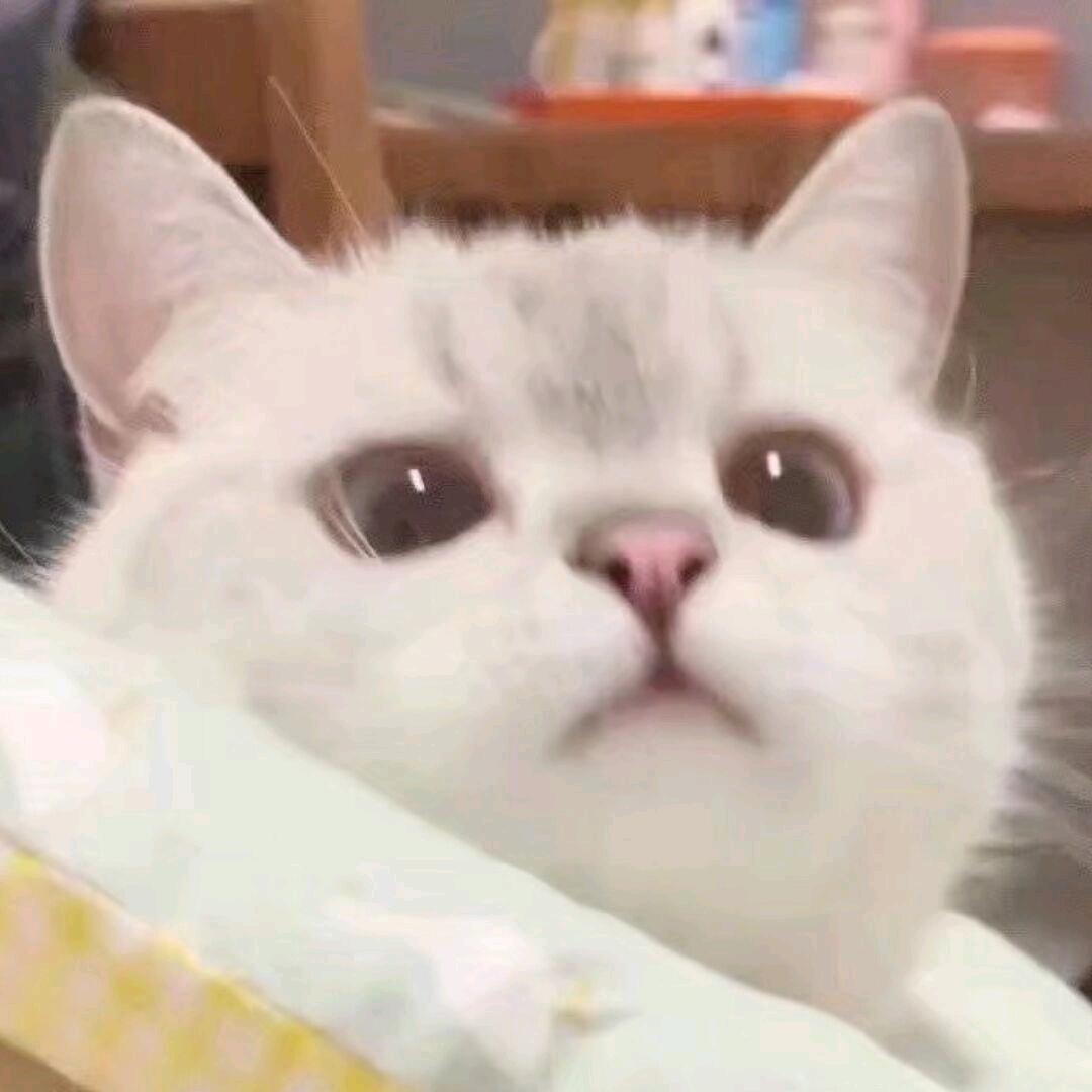 😸