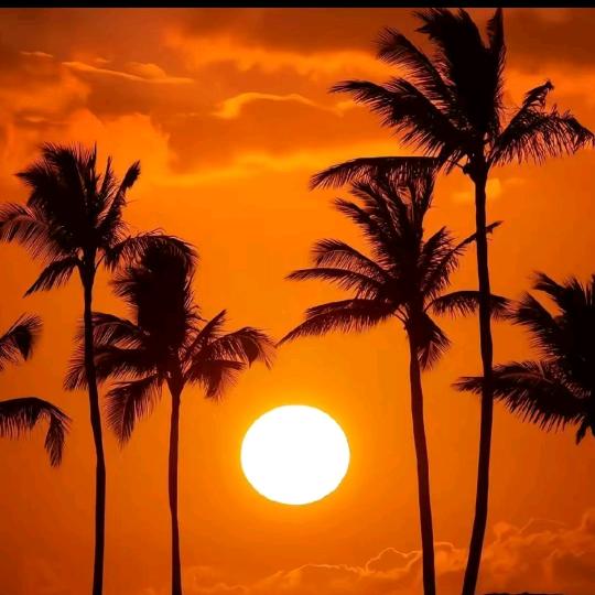 太阳