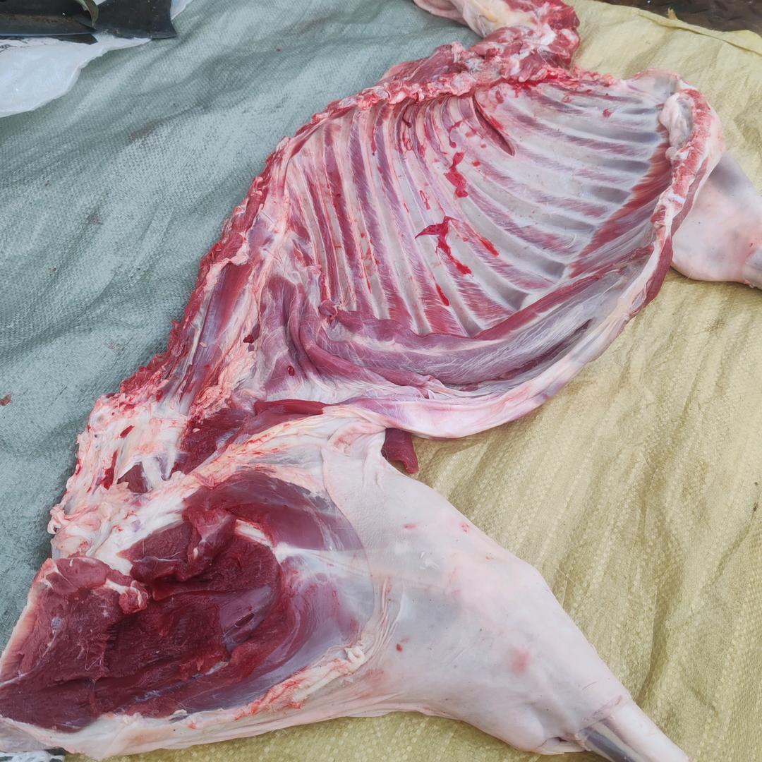 想吃好东西找我