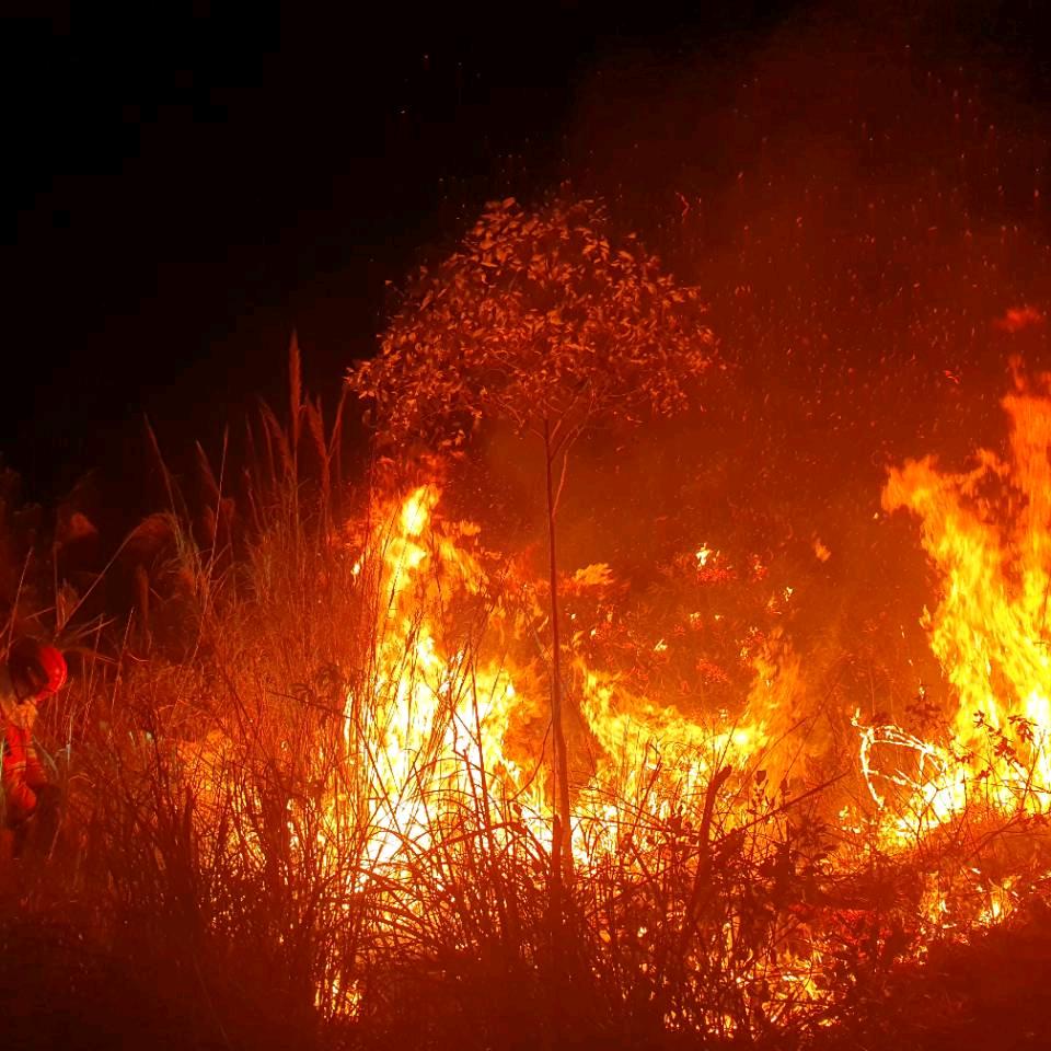 专职消防员兼职跑外卖