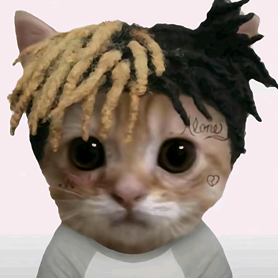 康kang.🐾
