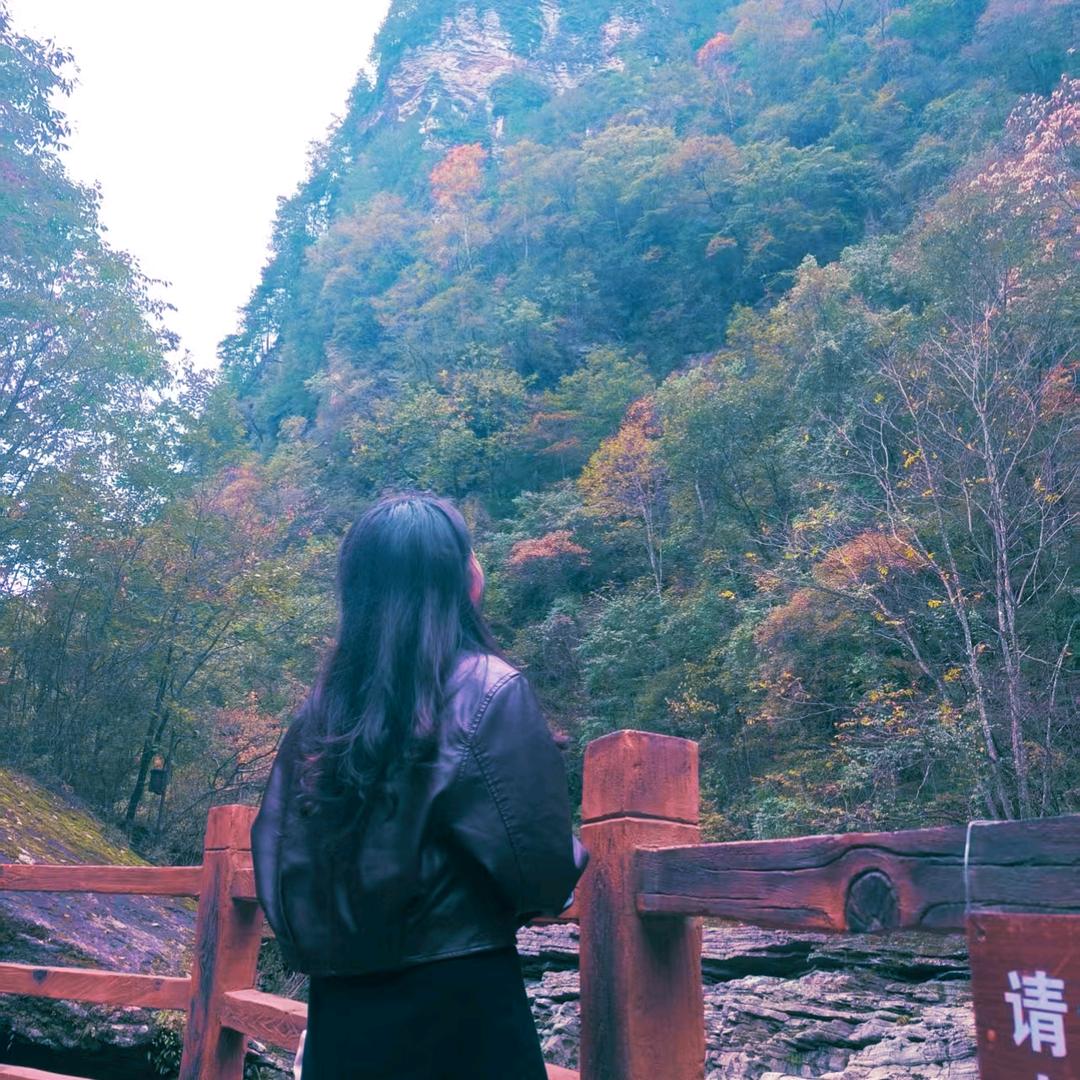 子非魚
