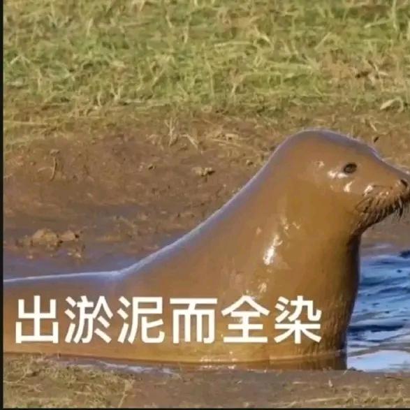 水基生物