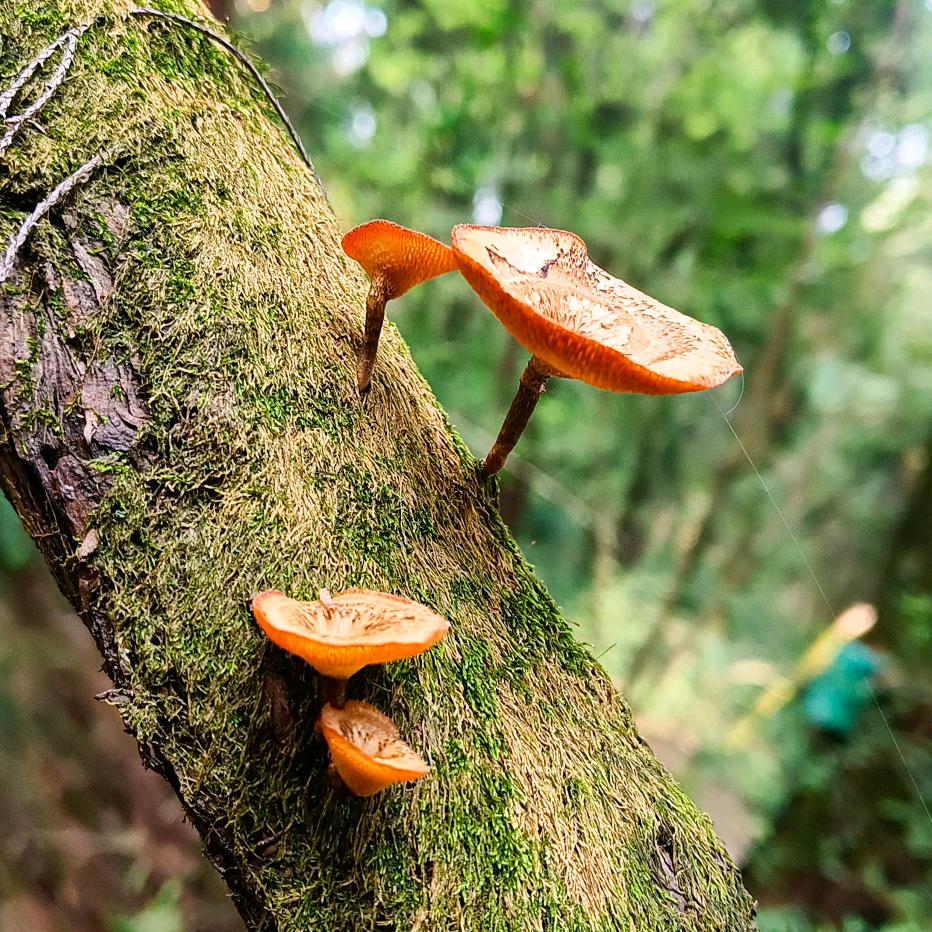 懂得珍惜才配拥有、拒绝私聊