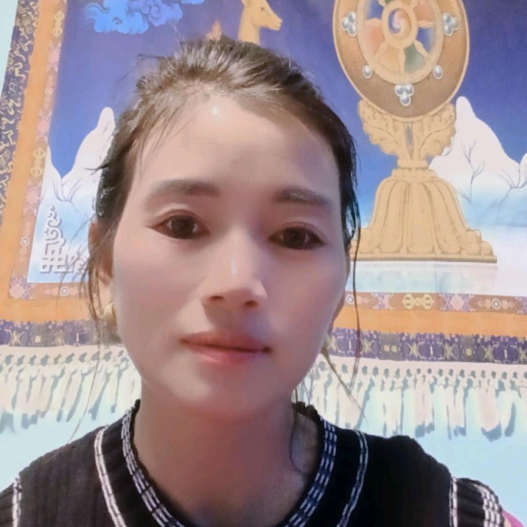 紫鱼儿