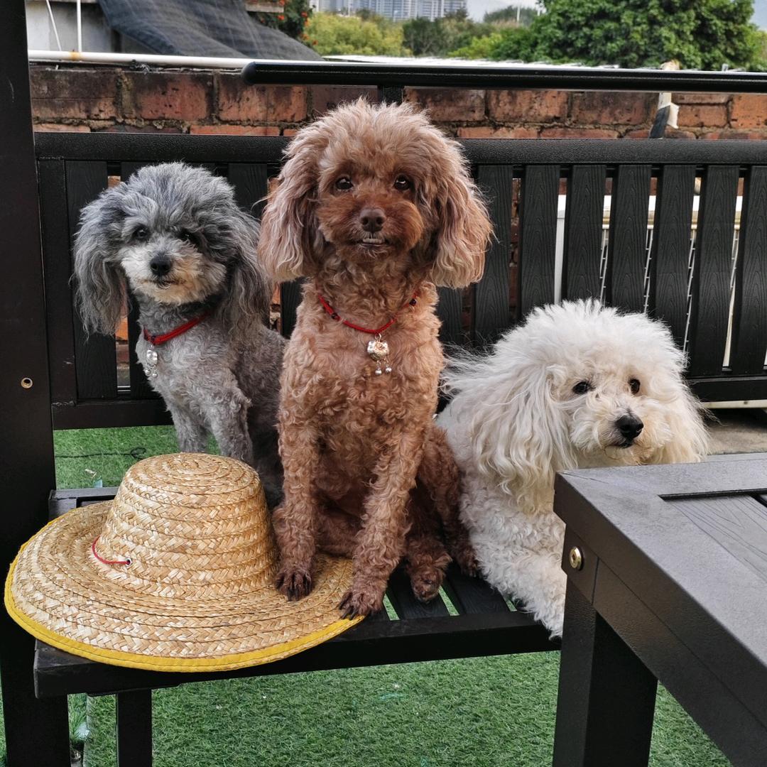 啧啧啧啧啧腿好粗