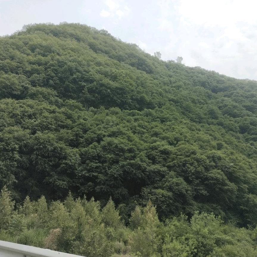 曾经的我