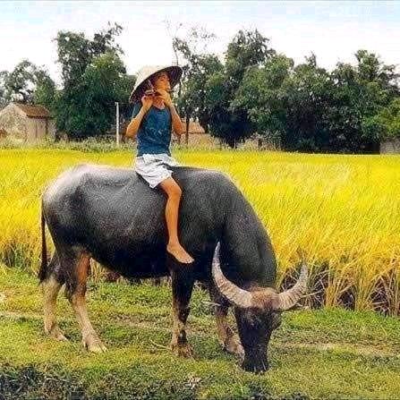 《放过自己》