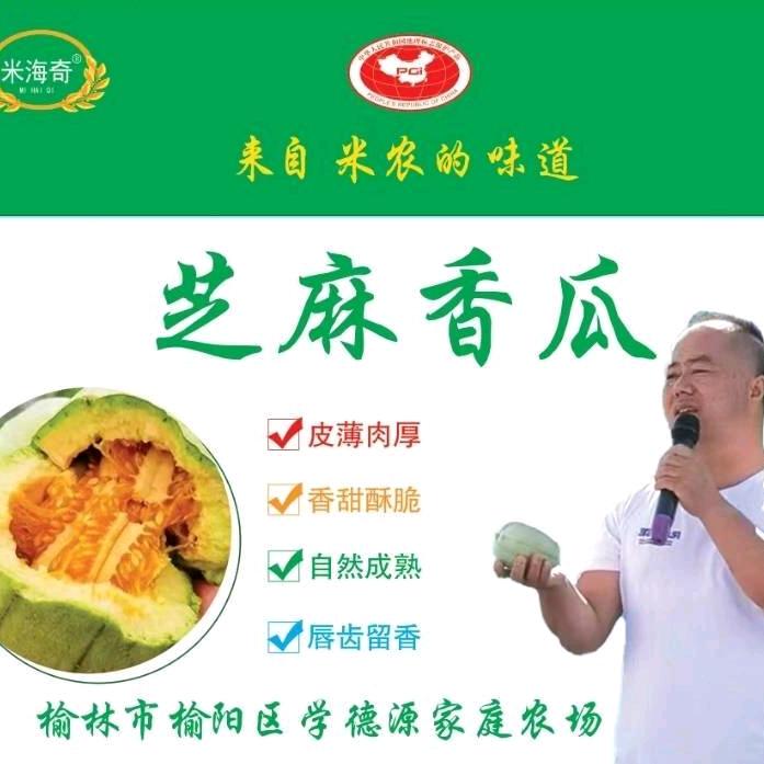 米海奇香瓜采摘园