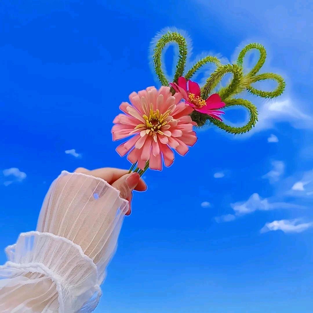 向日葵开过旧夏天