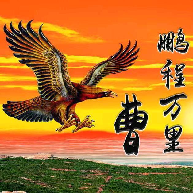 曹家二少