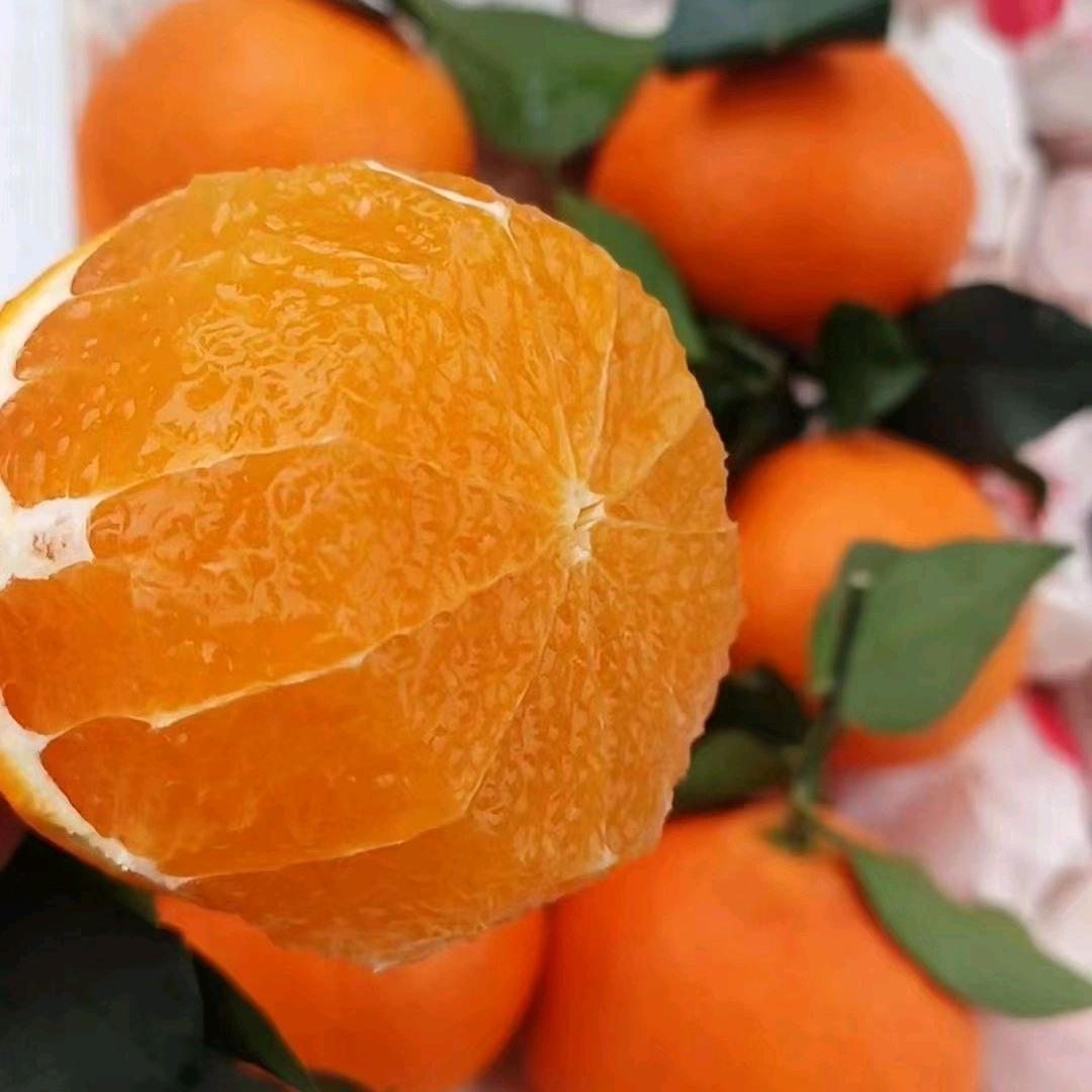 丹棱县金达果业