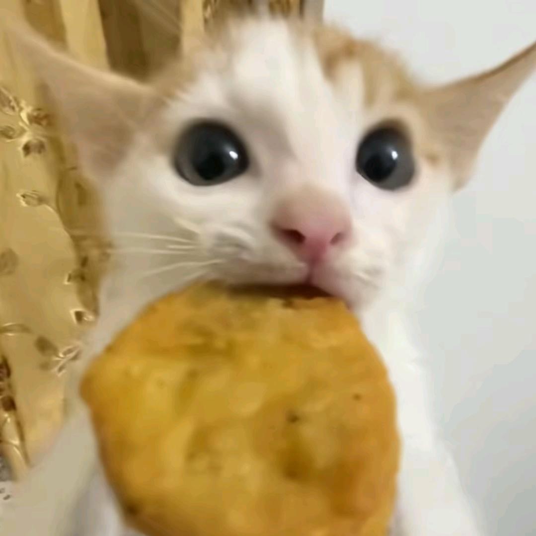 奥利奥大王^_^