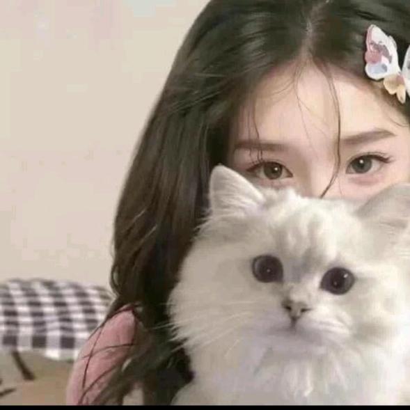 又菜又爱玩