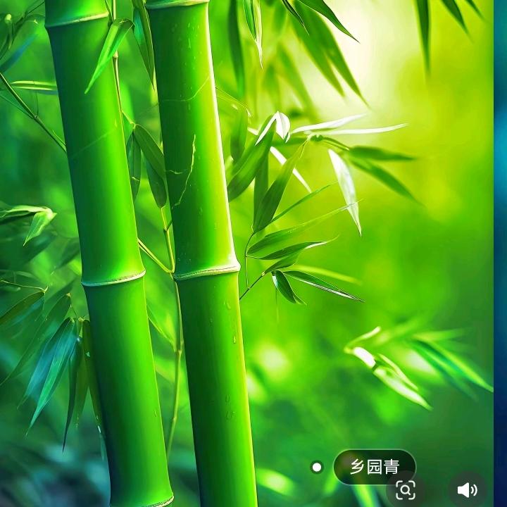 董姐