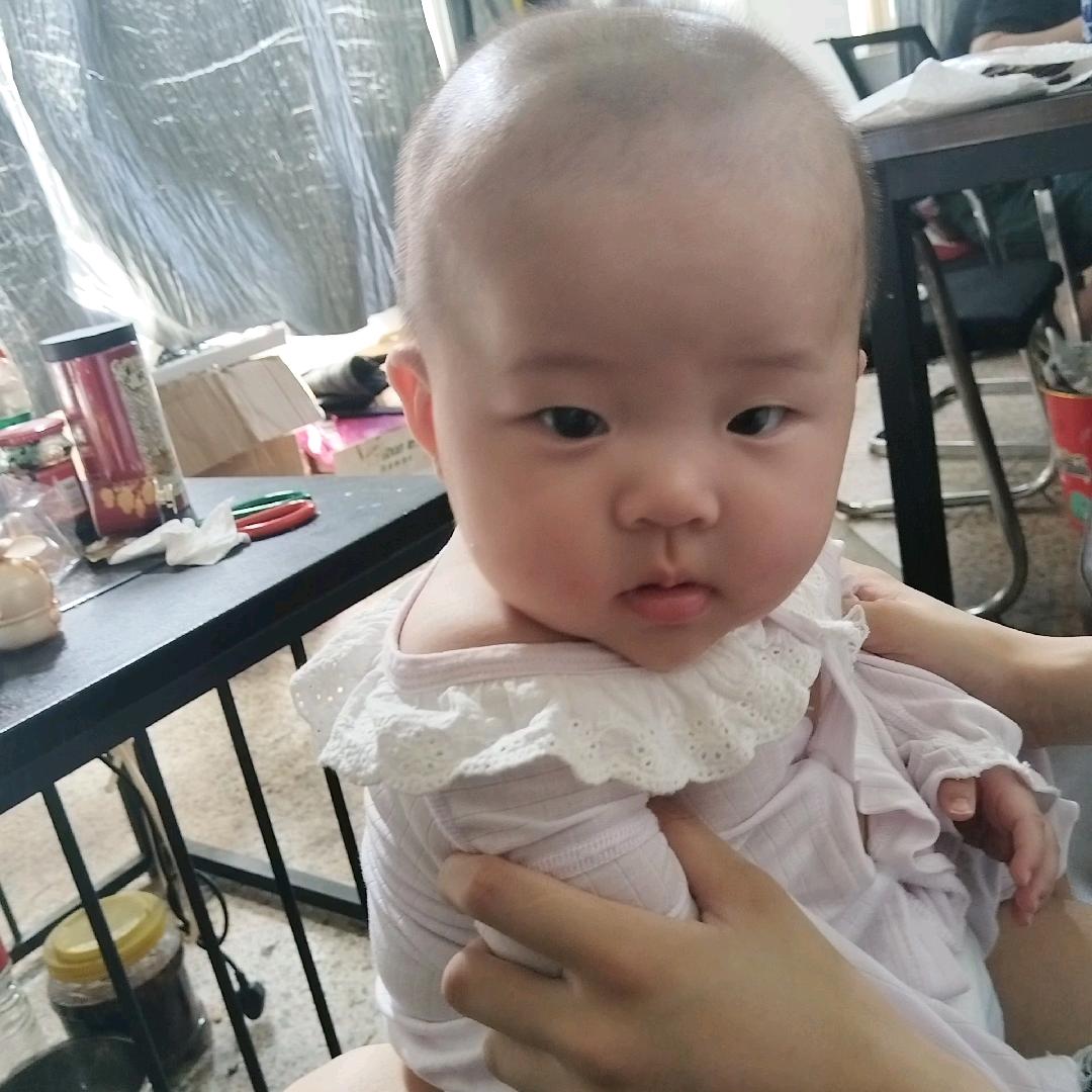 农民老张的乡村生活