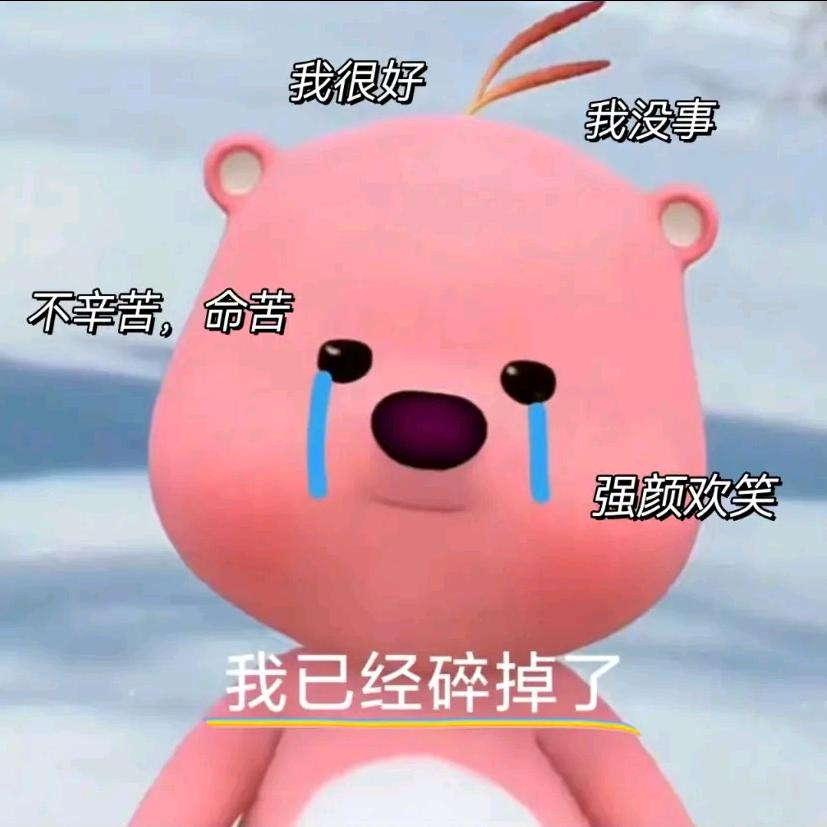 🐷527