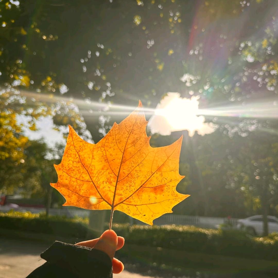 ༊꧔᭄ᩚ当局者迷꧔ꦿ᭄