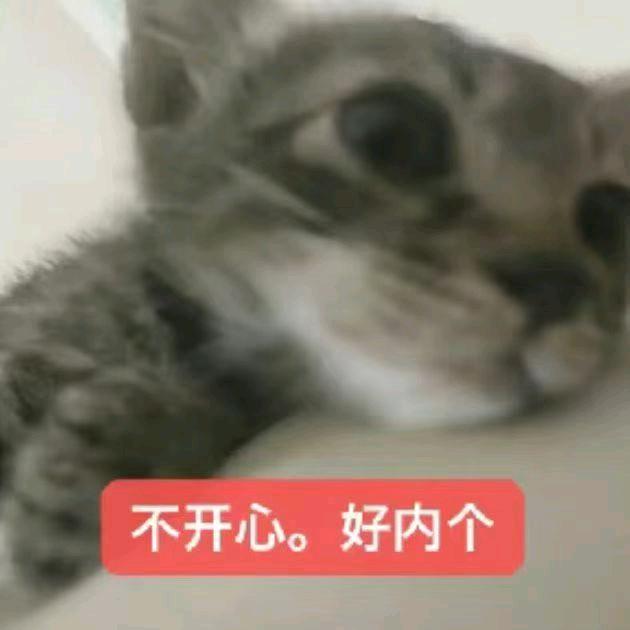 OVO（抖音你还我流量）