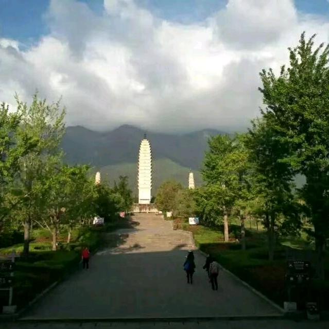 无忧花