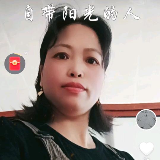 白鹅亮翅